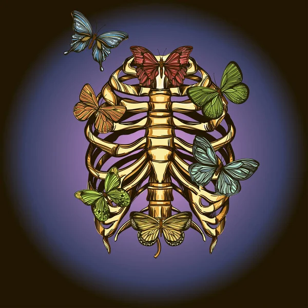 Menselijke rib kooi met vlinders. Vector illustratie op donkere achtergrond. — Stockvector