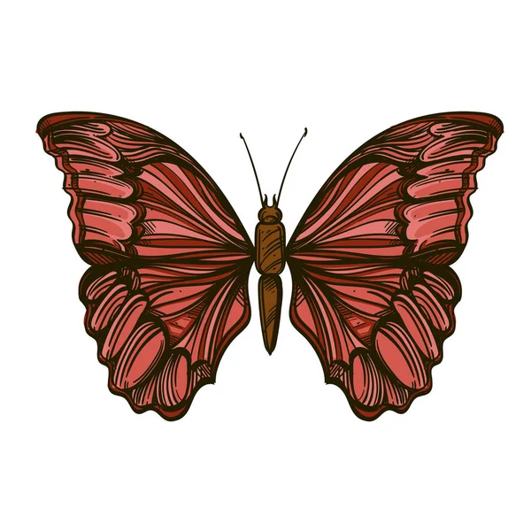Hermosa mariposa dibujada a mano. Ilustración vectorial aislada sobre fondo blanco para tatuajes, impresión en camisetas y otros artículos . — Archivo Imágenes Vectoriales