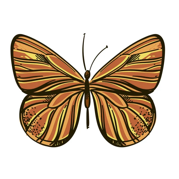 아름 다운 손으로 그린 나비입니다. 문신, 티셔츠 및 기타 항목에 인쇄흰색 배경에 격리 된 벡터 그림. — 스톡 벡터