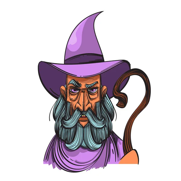 Portrait of a wizard. Magical fairy collection. — Stock Vector