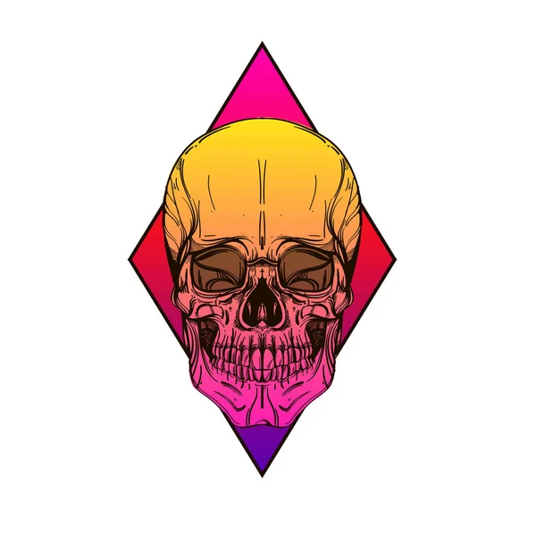 Vector skulls collection. — Stock Vector