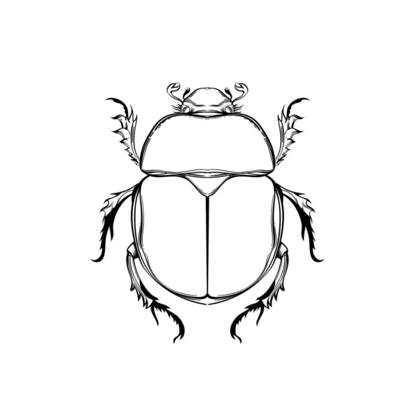 Insektensammlung, Linienkunst, Vektor. — Stockvektor