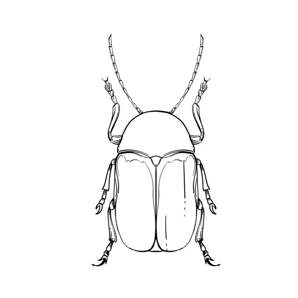 Sběr hmyzu, linkovou kresbu, vektor. — Stockový vektor