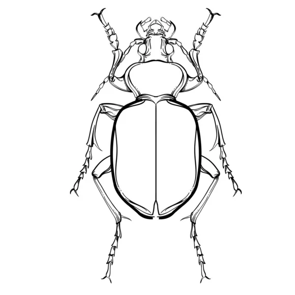 Colección de insectos, arte de línea, vector . — Archivo Imágenes Vectoriales