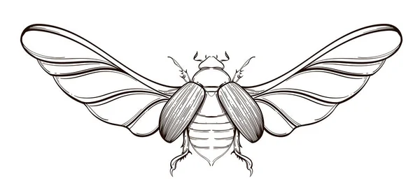 Insect collectie, lijn kunst, Vector. — Stockvector