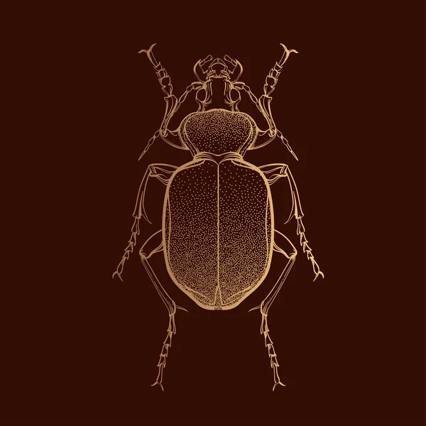 Insect golden collection, line art, vector. — Stock Vector