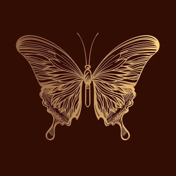 Collection d'insectes dorés, art linéaire, vecteur . — Image vectorielle