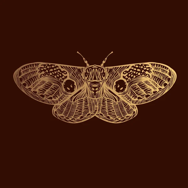 Insect gouden collectie, lijn kunst, Vector. — Stockvector