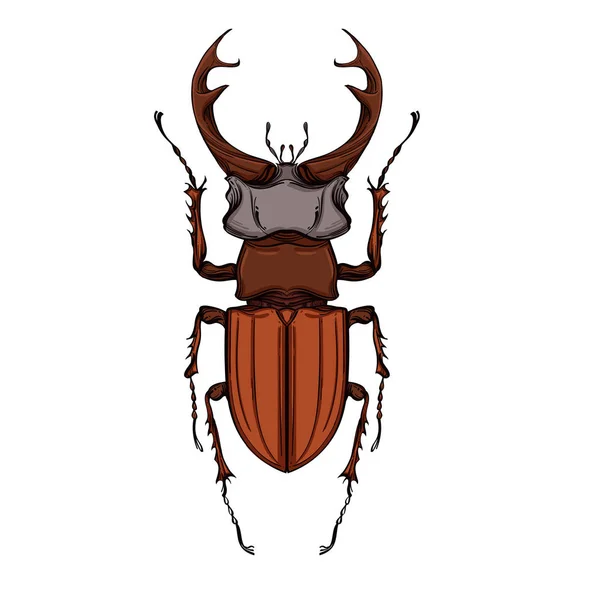 Insect kleur collectie, lijn kunst, Vector. — Stockvector