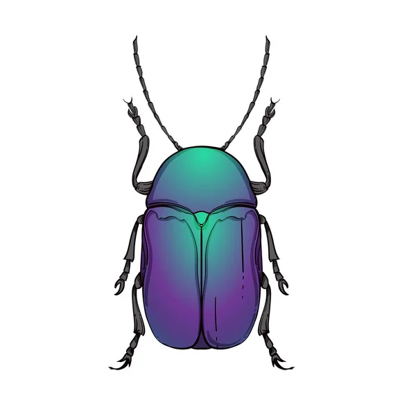 Insect color collection, line art, vector. — Stock Vector