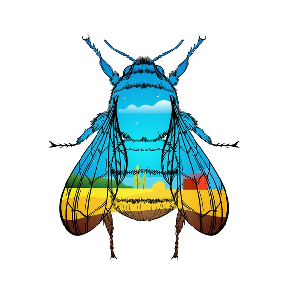 Hmyzí barevná sbírka, linkovou kresbu, vektor. — Stockový vektor