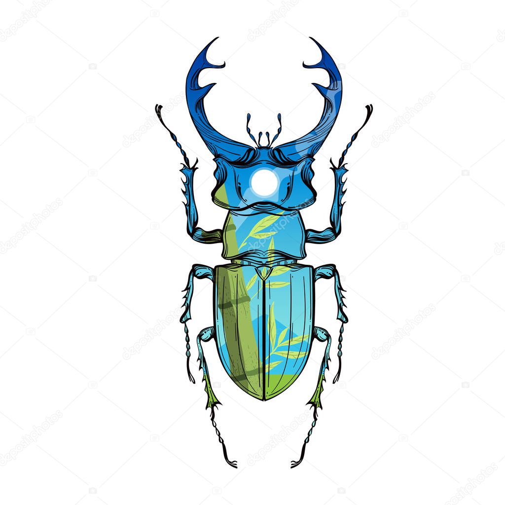 Insect color collection, line art, vector.