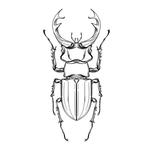 Sběr hmyzu, linkovou kresbu, vektor. — Stockový vektor