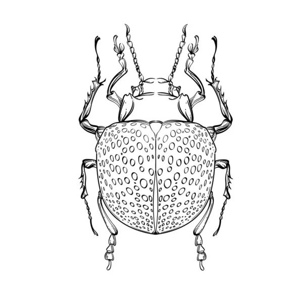 Colección de insectos, arte de línea, vector . — Archivo Imágenes Vectoriales