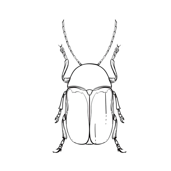 Insect collectie, lijn kunst, Vector. — Stockvector