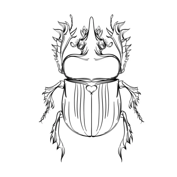 Insect collection, line art, vector. — Stock Vector