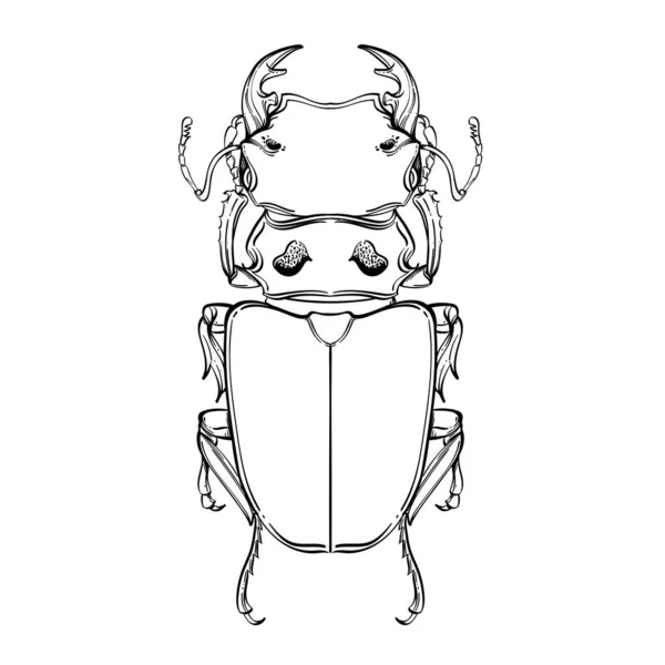 Insect collection, line art, vector. — Stock Vector