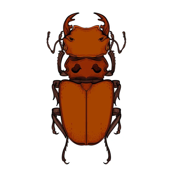 Insect kleur collectie, lijn kunst, Vector. — Stockvector