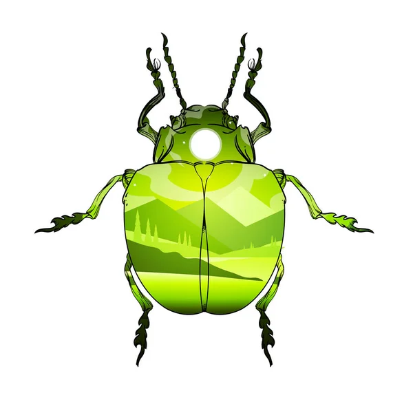 Insect color collection, line art, vector. — Stock Vector