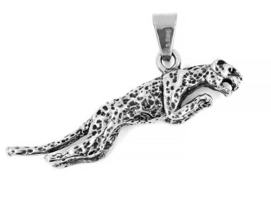 Erkekler - kolye canavar - kaplan ya da Jaguar - bir renk arka plan için takı