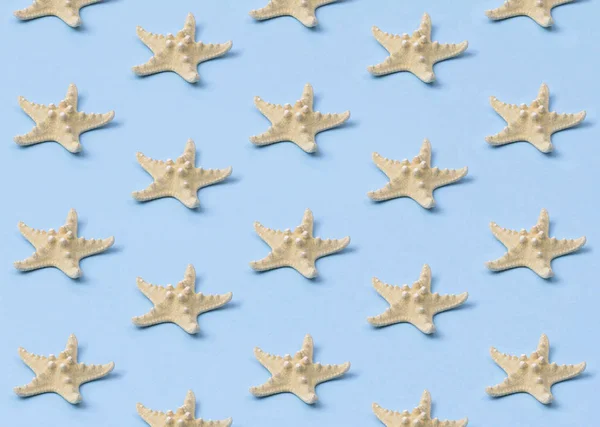 Padrão de estrela-do-mar amarelo no fundo azul pastel . — Fotografia de Stock