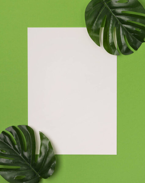 Тропические пальмовые листья с чистой бумагой на зеленом фоне
.