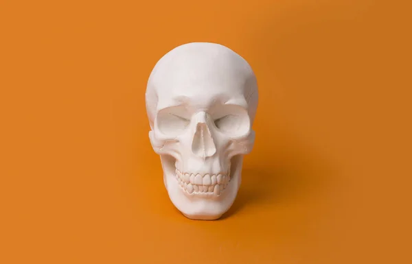 Craniul uman pe fundal portocaliu cu spațiu de copiere — Fotografie, imagine de stoc