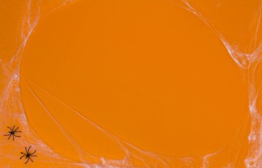 Örümcekler ve web ile yaratıcı turuncu arka plan.