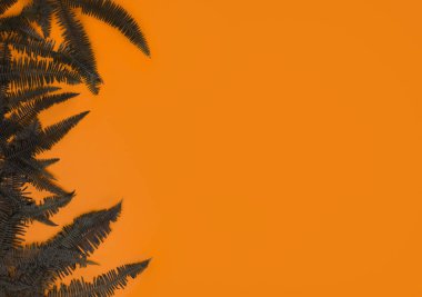 Turuncu masada eğrelti otu yaprakları ile Sonbahar veya sonbahar arka plan.