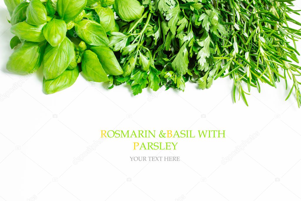 Seamless  basil. Vegetables abstract background. 