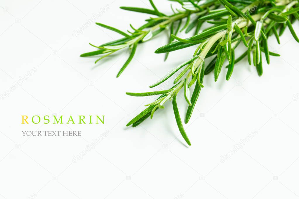 Seamless rosemary. Vegetables abstract background. rosemary background.