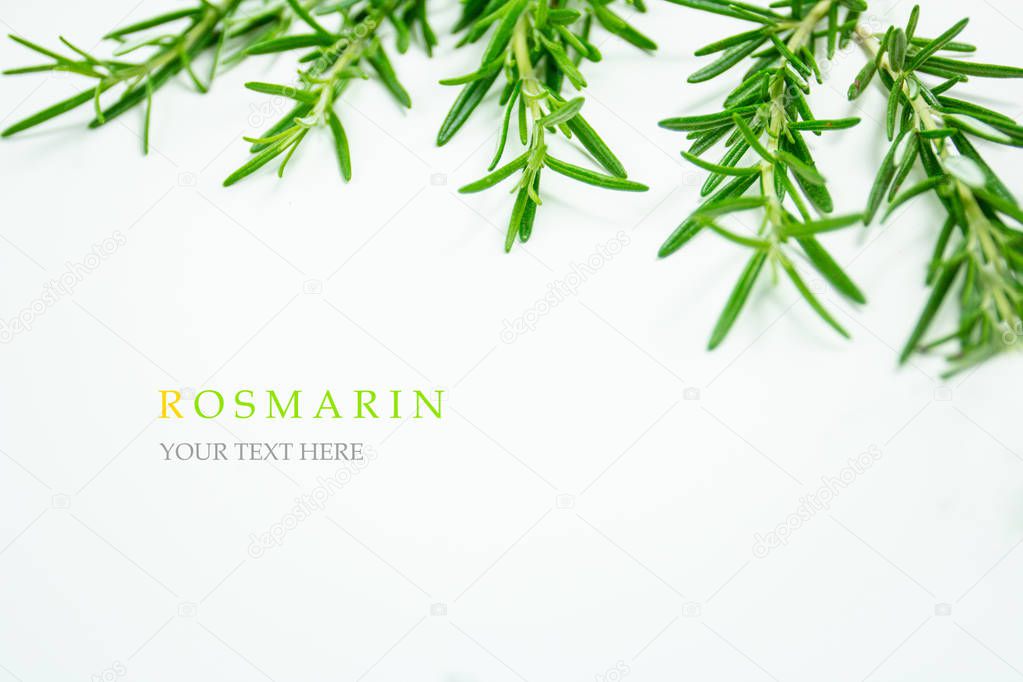 Seamless rosemary. Vegetables abstract background. rosemary background.