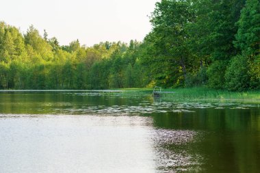 Küçük bir balıkçı iskelesi olan yemyeşil ormanlarla çevrili sakin bir göl. Sakin su yansımaları ve sık ormanlık içeren huzurlu yaz manzarası