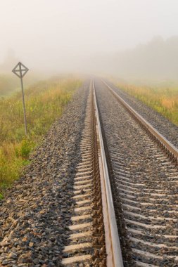 Demiryolu rayları, sakin bir sonbahar sabahı yoğun siste kaybolur. Renkli sonbahar bitkileriyle çevrili kırsal tren hattı.