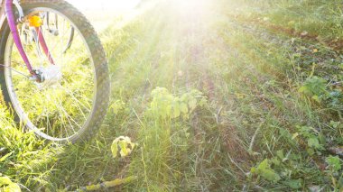 Parkta çim üzerinde bisiklet duran. Sadece bir tekerlek ve güneş Park çimenlerin üzerinde