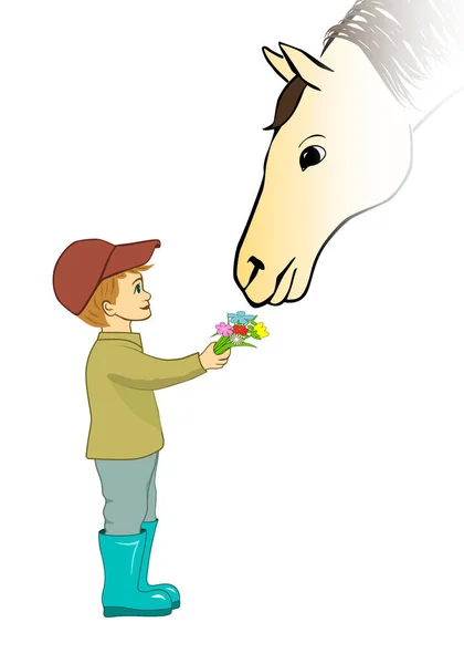 Chłopiec Koń Chłopiec Dający Koniowi Kwiaty Powąchania Dobra Przyjaźń Wektor — Wektor stockowy