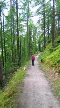 Bir adam, uzun ağaçlar ve canlı sonbahar yapraklarıyla çevrili, İsviçre 'de dar bir orman yolunda huzurlu bir yürüyüş yaparak sonbahar mevsiminin huzurlu özünü yakalıyor.