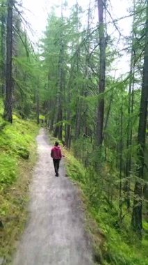 İsviçre 'de huzurlu bir orman yolunda tek başına yürüyen bir adam. Sonbaharın canlı renkleriyle çevrelenmiş sahne, doğanın sükunetini ve güzelliğini yakalıyor..