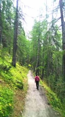 İsviçre 'de verimli yeşillikler ve yüksek ağaçlarla çevrili huzurlu bir sonbahar ormanı yolunda yürüyen bir adam, İsviçre' nin vahşi doğasında sonbaharın dingin esansını yakalıyor.