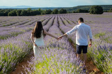 A couple walks hand in hand through a sprawling lavender field, surrounded by nature's beauty and the fragrant purple blooms in full bloom, symbolizing love and tranquility