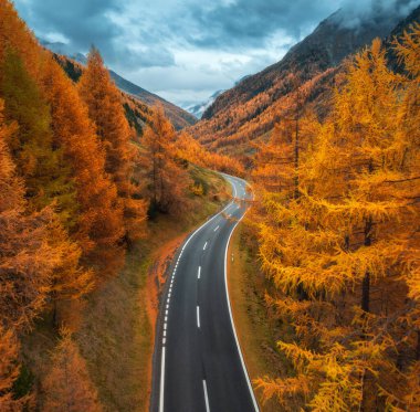 İsviçre 'nin İsviçre Alpleri' ndeki virajlı yol manzarası. Canlı sonbahar renklerinde, dramatik gökyüzü ile parlak turuncu tarla ormanı. Alp Dağı yolu ve portakal ağaçlarının en üst hava aracı manzarası. Ulaşım