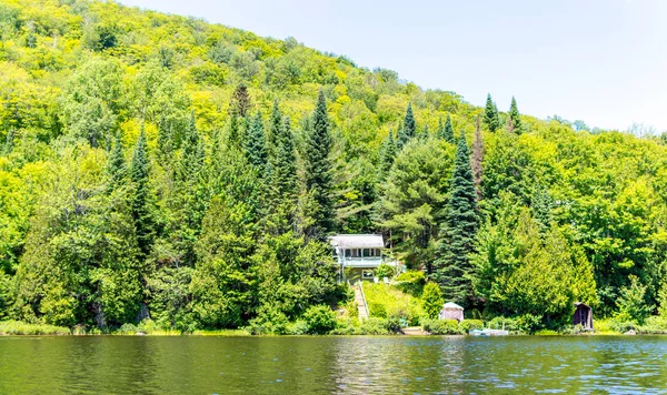 Appartement Houten Huisje Het Bos Quebec Canada — Stockfoto