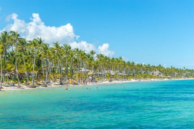 İnsanlar plajda Punta Cana beldesinde palmiye ağaçları arasında sakin ol.