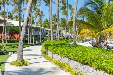 Binalar arasında palmiye ağaçları tatil Punta Cana.