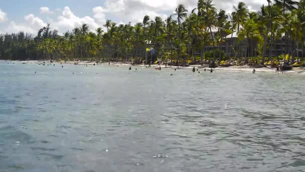 Pessoas Relaxam Praia Entre Palmeiras Resort Punta Cana — Vídeo de Stock