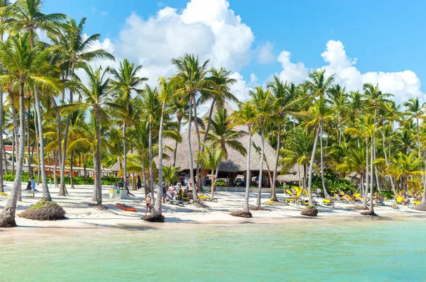 İnsanlar plajda Punta Cana beldesinde palmiye ağaçları arasında sakin ol.