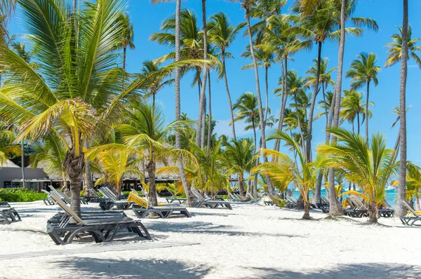 Menschen Entspannen Sich Strand Unter Palmen Ferienort Punta Cana — Stockfoto