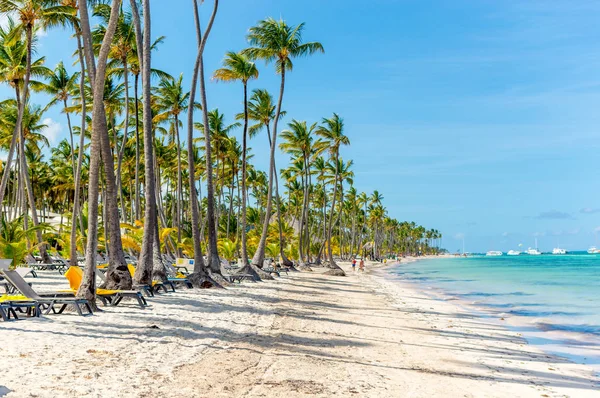 在蓬塔卡纳度假胜地 人们在棕榈树之间的海滩上放松身心 — 图库照片