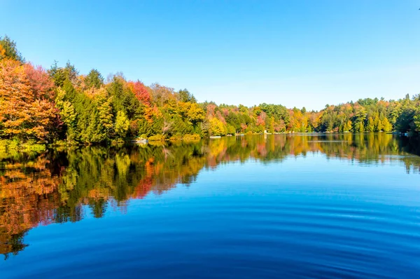 Wooden cottages in forest on the lake in Gore city, Quebec, Canada