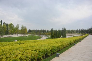 Peyzaj Park ve güzel bir Avenue güzel doğa